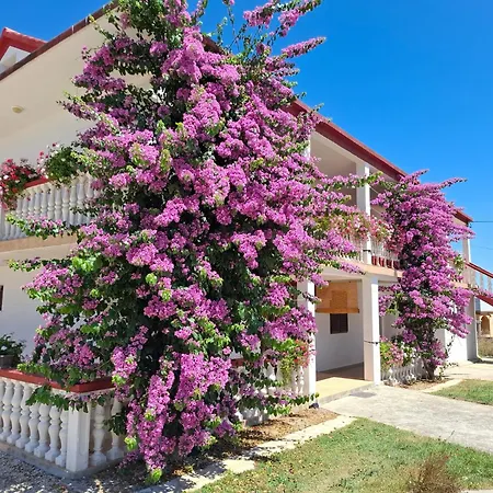 With Parking Space Privlaka, Zadar - 12985 Appartamento *