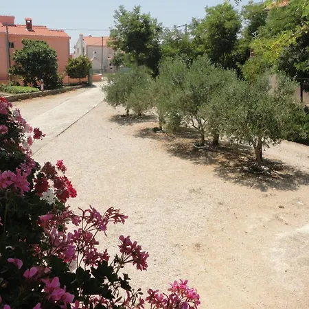 With Parking Space Privlaka, Zadar - 12985 شقة *