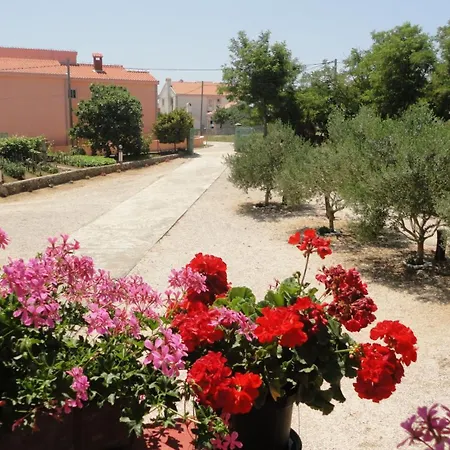 With Parking Space Privlaka, Zadar - 12985 *